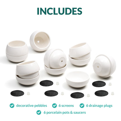 3.5 Inch Cute Porcelain Mini Plant Pots with Drainage Hole and Plug (6pk) - Includes a Bag of Decorative Pebbles, Cleaning Brush, and Tweezers - Cactus Pots, Suculentas Pot - No Plants Included