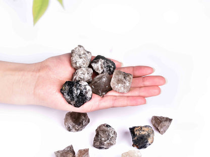 JIC Gem 12-16Pcs 0.7 Lbs irregular shape unpolished raw Madagascar natural Smoky Quartz Crystals and Healing Stones,0.32KG Gemstone Crystal Bulk rough Stones