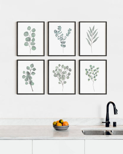 HAUS AND HUES Leaf Prints Botanical Wall Art Set of 6 Nature Art Prints & Eucalyptus Leaves Wall Decor | Botanical Prints Eucalyptus Wall Art Plant Decor | Unframed, 8" x 10"