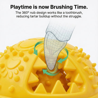 Argoswags Spiky Dog Ball with Internal Bell - Rigid TPR Durable Fetch Toy - Squeakless Rattle Sound - Hard Textured Dental Surface for Teeth Cleaning & Medium Large Breeds (3-Versions-in-1)