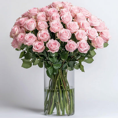 GlobalRose 75 Pink Roses Bouquet - Responsibly Sourced Roses Fresh Flowers - Hand-Picked Flowers Fresh Bouquet for Graduation, Anniversary, Birthday & Special Occasions (3 Bunches of 25 Stems)