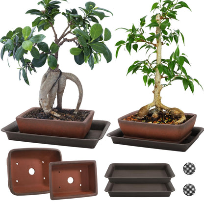ELFULLY 2 Pack Ceramic Bonsai Pots with Drainage Tray, 6" and 7" Unglazed Rectangle Bonsai Tree Planters, Bonsai Training Pots, Succulent Cactus Planter with Drainage Hole for Outdoor Indoor, Brown