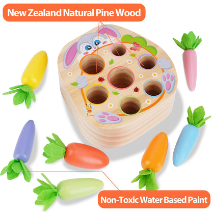 KMTJT Montessori Toys for 1 2 3 Year Old Toddlers, Rabbit Carrot Harvest Game Wooden Toys for 6-12 Months Baby Boys and Girls, Shape Sorting Matching 1st Birthday Easter Gifts for Babies 1-3 (Macron)