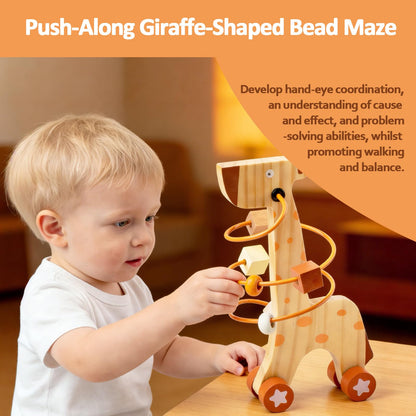 Smartwo Wooden Montessori Toys for 6-12 Months,Montessori Baby Blocks Toy for 6-12-18 Months,Shape Sorting,Xylophone,Development Toys for Girls Boys Birthday Chiristmas Gifts