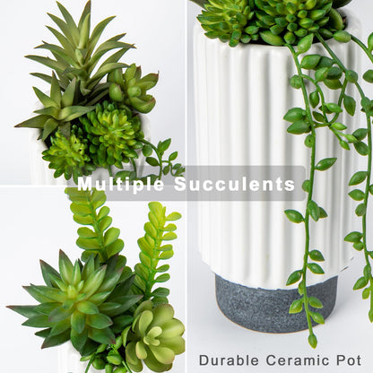 Hollyone Artificial Succulents Plants Set of 2 Faux Succulents 9" Fake Succulent Plants in Ceramic Pot Succulent Plant for Desk Modern Home Living Room Office Table Shelf Bathroom Decor
