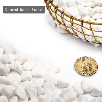 Ausluru 5lbs White Natural River Rocks, Polished Pebbles for Plants Garden, 0.3-0.8 inch Decorative White Stones, Ideal for Fish Tank, Vases, Crafting, Home Decor and Garden Landscaping Rocks,White
