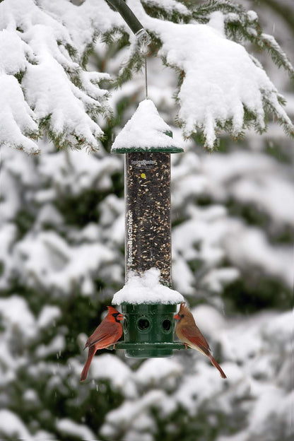Squirrel Buster Plus Squirrel-proof Bird Feeder w/Cardinal Ring and 6 Feeding Ports, 5.1-pound Seed Capacity, Adjustable, Pole-mountable (POLE ADAPTOR SOLD SEPARATELY), Green