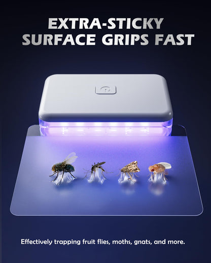 LFSYS 3 Pcs Fruit Fly Traps for Indoors (3 Device+20 Refills) Plug in Fly Trap for Gnats, Fruit Flies, Flying Insects Sleek Design Indoor Safe