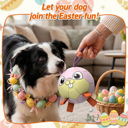 QDAN Rabbit Dog Toys, Dog Soccer Ball with Straps, Dog Water Toy, Waterproof Rubber Dog Toy Ball for Medium Small Dogs, Outdoor Inddor Doy Pet Puppy Toys (6 Inch)