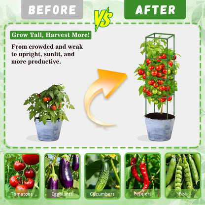 Riare 4 Pack Square Tomato Cages for Garden Plant Support- Up to 60 Inch Tomato Cage Garden Stakes Tomato Trellis for Potted Plants Raised Garden Bed Climbing Vegetables Flowers Outdoor Indoor