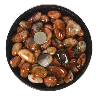 1/2LB Large Dream Agate Tumbled Polished Natural Crystal Healing Pocket Stones Rock Collection