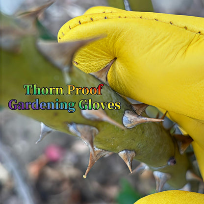 wfkwcxw Heavy Duty Cowhide Gardening Gloves-Thorn Proof & Adjustable-Perfect for Cactus,Roses,Weeding,Snake Handling&Poison Ivy Protection,Yellow, Small