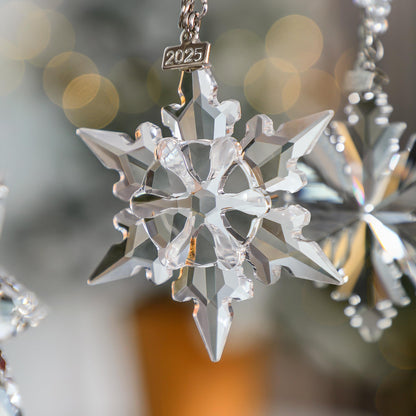 LOULIQIGIFT 2025 Set of 4 Crystal Snowflake Ornament Glass Christmas Ornaments for Tree Hanging Miniature Star Home Decor with Ribbons