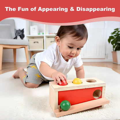 Smartwo Montessori Toys Object Permanence Box, Ball Tracker Drop Push Toy for Baby Toddler Kid Preschooler 1-3,Early Learning Activity, Educational Cause and Effect Game,Gift for Boys Girls