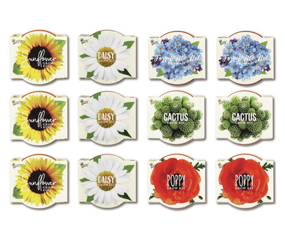 BUZZY Seeds Mini Terracotta Pots 12-Pack with Plant Seeds, Poppy, Sunflower, Daisy, Cactus and Forget Me Not, All-in-One Seed Starter Kit, Indoor Outdoor Gardening Gift, Wedding Favors, Mother's Day