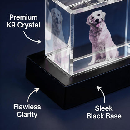 P&L ART. Custom 3D Crystal Photo Personalized Memorial Gifts, Laser Engraved Glass Remembrance Picture Frame with LED Base for Pet Dog Cat Loss (Rectangle S/M/L/XL)