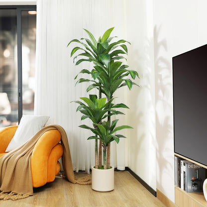 OAKRED Artificial Dracaena Tree 6ft, Tall Fake Dracaena Plants with White Planter, Faux Dragon Tree Indoor Floor Plant for Home Decor Office Living Room Porch Housewarming, 1Pcs