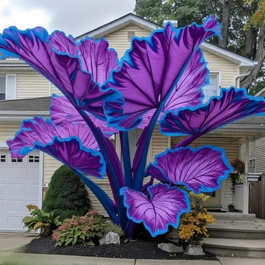 EDRHTJG Giant Leaf Foliage-Elephant Ear-Alocasia for Outdoor Garden Patio Decor-Pretty Mixed Colors (8)