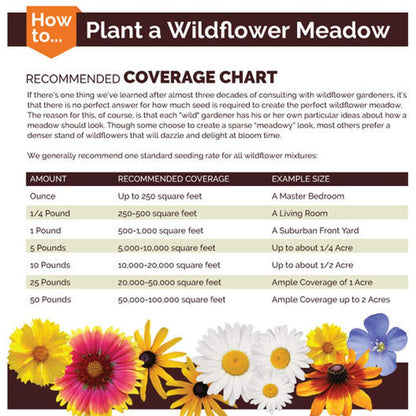 UtopiaSeeds White Wildflower Seed Mix - Attracts Hummingbirds and Butterflies - Easy to Grow