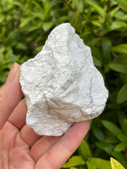 GAF TREASURES XL Raw White Howlite, 3-4" Natural White Howlite Stone, White Howlite Rough, White Howlite Healing Rough Crystal (White Howlite, 0.5-1 lb)
