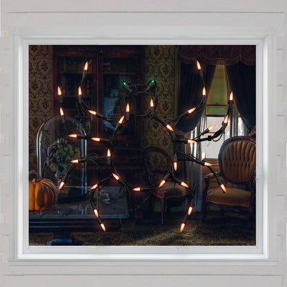 Northlight LED Lighted Spider Window Silhouette Decor, 15in x 15in, Black, Model 14256738