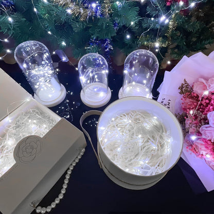 Etinga Wine Bottle Lights with Cork, 20 LEDs 6.6 Feet Silver Wire Cork Bottle Lights,Fairy Mini String Lights,for DIY Jar Halloween,Christmas,Party,Decor,Wedding Listing (10 Pack, Cool White)