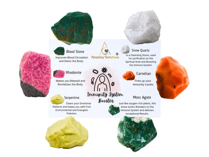 Amazing Gemstone Crystal for Immunity Manifestation, Set of 6 Blood Stone, Rhodonite, Serpentine, Snow Quartz, Carnelian and Moss Agate Healing Crystals and Stones