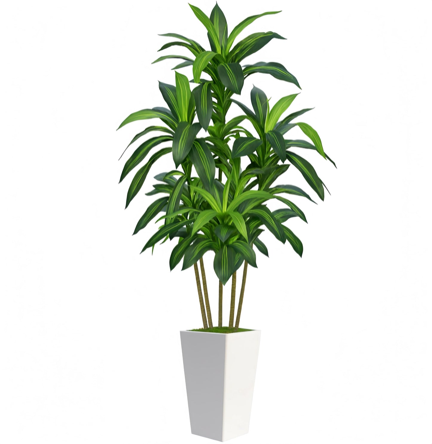 7FT Artificial Dracaena Tree, Fake Tree Indoor with White Tall Planter, Tall Artificial Plants Indoor, Artificial Silk Tree for Home Office Decor Plants Indoor Outdoor (White)