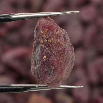 REAL-GEMS Natural Raw Healing Crystals Rough Stones for Tumbling, Cabbing, Polishing, Wire Wrapping, Wicca & Reiki Crystal Healing, Mix Gemstones,7 Chakra (Indian Star Ruby)
