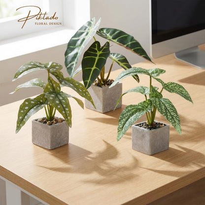 Piklado 3pcs Small Fake Plants Artificial Begonia Leaves Faux Plants Indoor for Office Desk Shelf Bathroom Home Decor