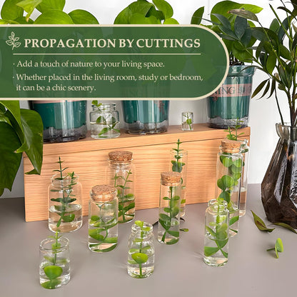 15-Pack 1.35 oz (40 ml) Glass Bottles with Cork Stoppers – for Spell Bottles, Spice Jars, DIY Party Favors, Travel Memories & Plant Propagation – Empty Recyclable Containers for Crafts, Kitchen,Décor