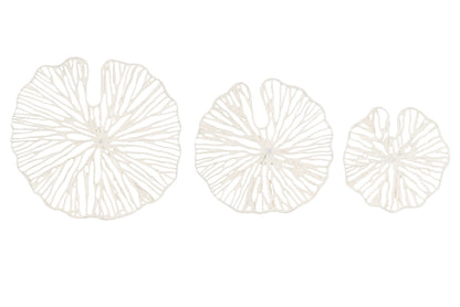 Creative Co-Op Handmade White Coral Shaped Paper & Metal Wall Décor (Set of 3 Sizes)