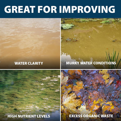 Airmax ClearPAC Plus Complete Pond Maintenance Kit, Natural Water Treatment, Live Microbe Sludge & Muck Reducer, Phosphate Control, Pond Dye - 1/4 Acre