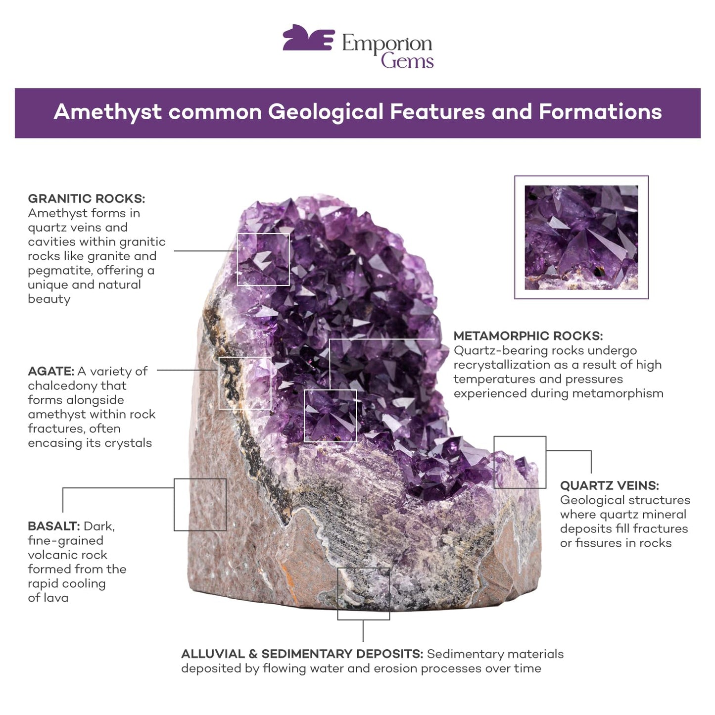 EMPORION Natural Amethyst Cluster (1.5–2 lb) – 4–6” Raw Amethyst Geode from Uruguay – Deep Purple Crystal