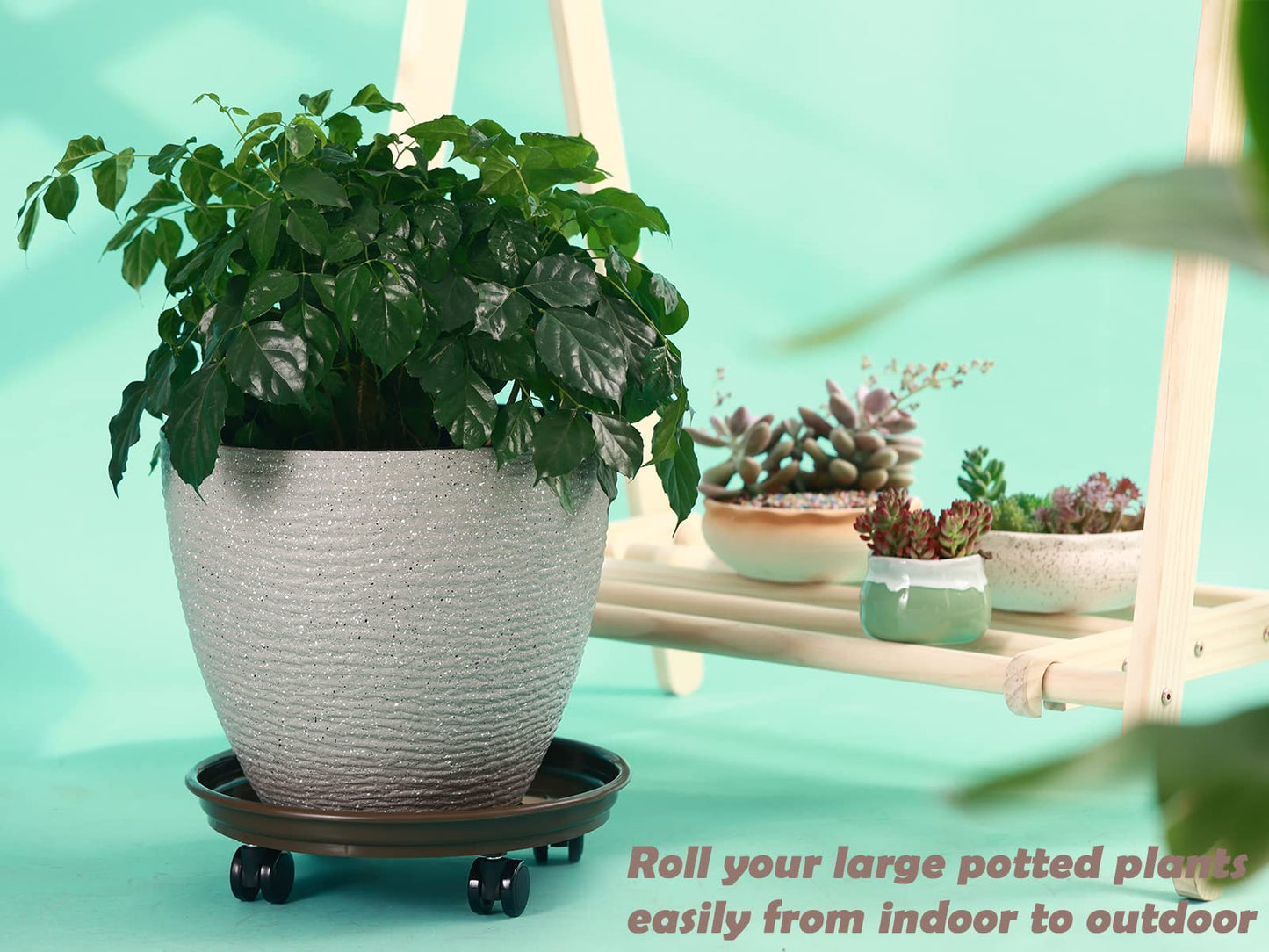 5 Packs Large Plant Caddy with PU Wheels 12" Rolling Plant Stands Heavy-duty Plastic Plant Roller Base Pot Movers Plant Saucers on Wheels Indoor Outdoor Plant Dolly with Casters Planter Tray Coaster