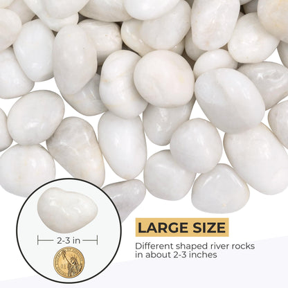 VINICS 20lbs Large River Rocks, 2-3 Inch White Pebbles for Plants, High Polished Natural Decorative Stones for Aquarium Vase Filler Fish Tank Landscaping Garden