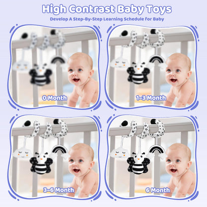 Black and White Sensory Toys for Babies,Montessori Toys for Babies,High Contrast Baby Toys for Toddlers Kids Early Learning Newborn Brain Development Toys Baby Gifts