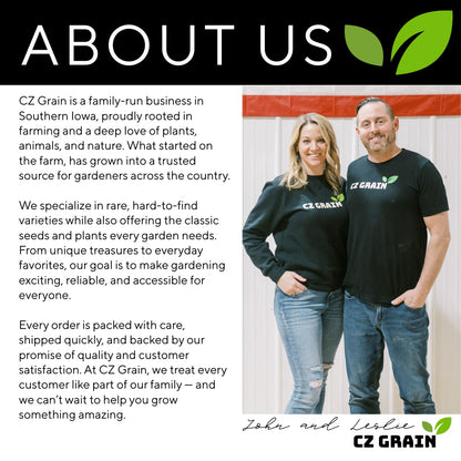 Beautiful Blue Moon Wisteria, Vine Plant, Attracts Hummingbirds, Potted Plant Fragrant Flowrs, in Dormancy (1-2 Feet). not for Sale California