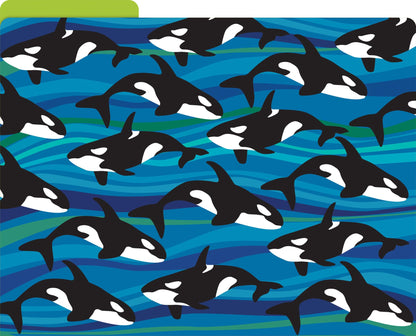 Barker Creek Sea & Sky File Folders Now on Durable 14pt Stock, 12/PK, Letter Size, 1/3 Cut Tabs, Reversible, Home, School and Office Supplies (2015)