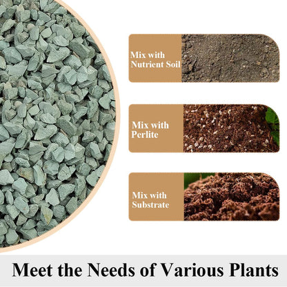 YISZM Succulents and Cactus Green Zeolite Rocks, Decorative Stones Pebbles for Indoor Plants, Bonsai, Fairy Gardening, Terrarium, 5lb