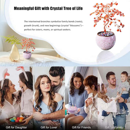 Runyangshi Red Agate Crystal Tree of Life - 8" Large Natural Chakra Healing Crystal Tree, Bringing Money, Good Luck, Positive Energy for Home Decor, Feng Shui Gifts, Office Desk Ornament