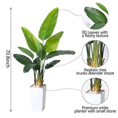 HAIHONG Bird of Paradise Artificial Plant 6FT, Faux Tropical Palm Tree with White Tall Planter, Large Fake Plants in Pot for Home Office Living Room Decor Indoor