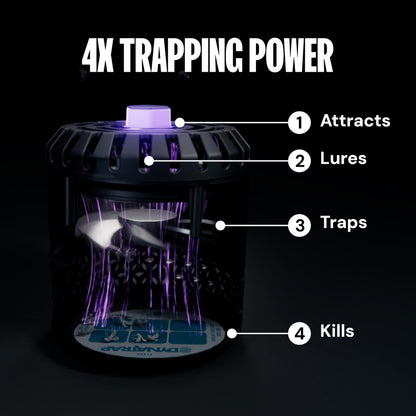 DynaTrap DT152 Indoor Insect Trap and Killer – Catches and Kills Gnats, Flies, Moths & Other Flying Insects