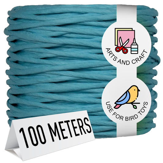 Super Bird Creations Colorful Twisted Paper Cord Rope 3/16" Diameter for Crafting 100 Meters SB50023 (109 Yards) - Ribbon Natural, Paper Twine, Paper Ribbons for Crafts, Paper Rope Craft (Light Blue)