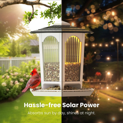 2 Pack Solar Bird Feeders for Outdoors Hanging - Attract Wild Birds & Cardinals, Elegant Minimalist Design, Garden Décor, Unique Gift