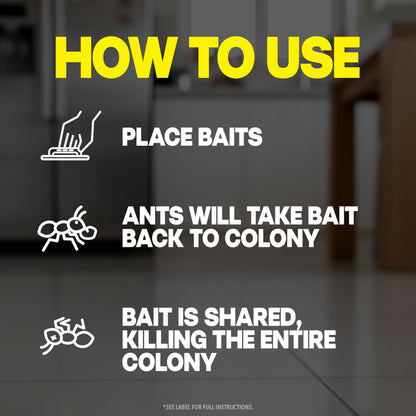 Raid MAX Liquid Ant Bait - Ant Traps Indoor and Outdoor Use – Insect Repellent & Pest Control That Kills Ants Where They Breed - 8 Count