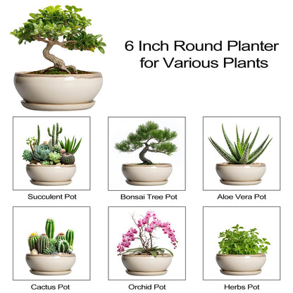 SQOWL Small Bonsai Pots - 6 Inch Ceramic Plant Pots for Succulents, Shallow Planter with Drainage Hole and Saucer, Round Planters for Indoor Outdoor Cactus Plants, House Decor, Birthday Gifts, Beige