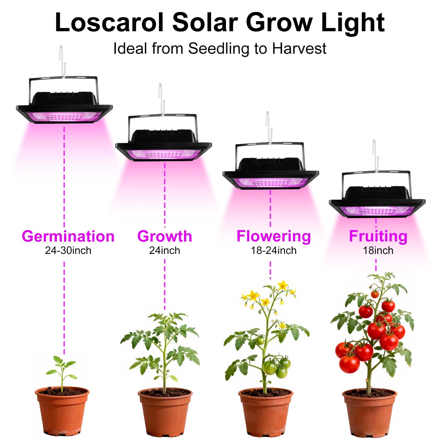 Loscarol Solar Grow Lights, Rechargeable Grow Light, Full Spectrum Plant Light for Indoor Outdoor Plants with Timer, Solar Plant Lights for Greenhouse with Remote Control and 16.4ft Cord/USB Charging