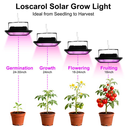 Loscarol Solar Grow Lights, Rechargeable Grow Light, Full Spectrum Plant Light for Indoor Outdoor Plants with Timer, Solar Plant Lights for Greenhouse with Remote Control and 16.4ft Cord/USB Charging