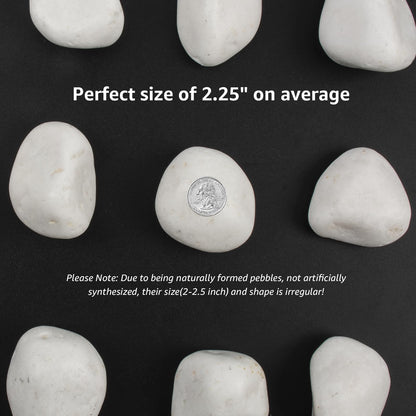 10lbs White Natural River Rocks, Polished Pebbles for Plants Garden, 2-3 inch Decorative White Stones, Ideal for Fish Tank, Vases, Crafting, Home Decor and Garden Landscaping Rocks